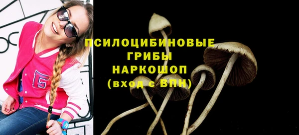 таблы Белокуриха