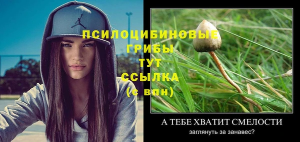 ALPHA-PVP Беломорск