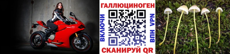 Купить закладки  Медвежьегорск  Псилоцибиновые грибы MAGIC MUSHROOMS 